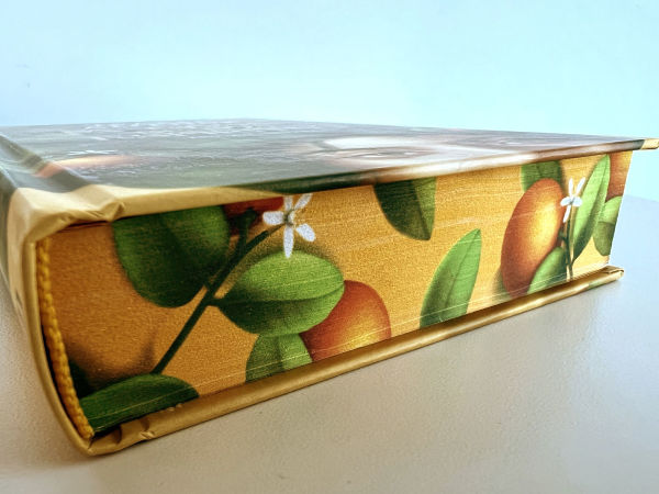 La casa de los espíritus (Edición especial cantos pintados) / The House of the Spirits