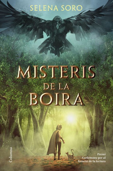 Misteris de la boira: IX Premi Carlemany per al Foment de la Lectura