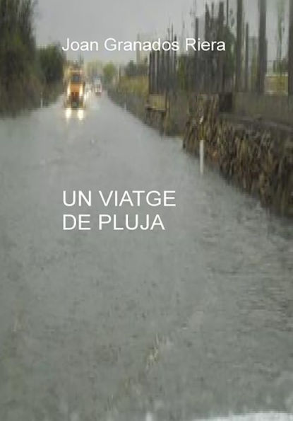 Un viatge de pluja