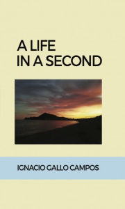 Title: A life in a second, Author: Galilee 3:16