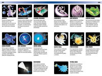 Alternative view 6 of Guía visual del mundo Pokémon / Pokemon Visual Companion