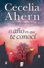 El año en que te conocí (The Year I Met You)