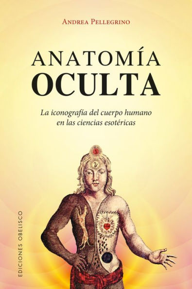 Anatomia oculta