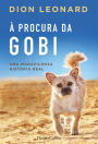 À procura da gobi (Finding Gobi)