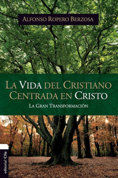 La vida del cristiano centrada en Cristo: gran transformación