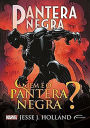 PANTERA NEGRA: QUEM É O PANTERA NEGRA?