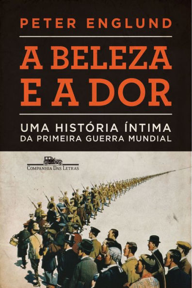 A beleza e a dor: Uma história íntima da Primeira Guerra Mundial