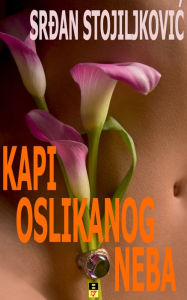 Title: KAPI OSLIKANOG NEBA, Author: Srdjan Stojiljkovic