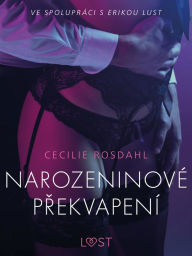 Title: Narozeninové prekvapení - Erotická povídka, Author: Cecilie Rosdahl
