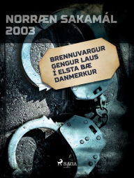 Title: Brennuvargur gengur laus í elsta bæ Danmerkur, Author: Ýmsir Höfundar