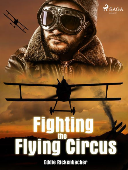 Fighting the Flying Circus