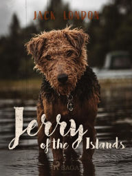 Free read online books download Jerry of the Islands by  ePub CHM RTF in English 9788726563979