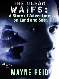 Title: The Ocean Waifs: A Story of Adventure on Land and Sea, Author: Mayne Reid