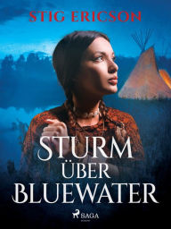 Title: Sturm über Bluewater, Author: Stig Ericson