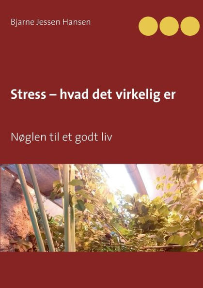 Stress - hvad det virkelig er: NÃ¯Â¿Â½glen til et godt liv