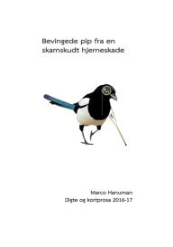 Title: Bevingede pip fra en skamskudt hjerneskade, Author: Marco Hanuman