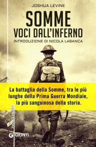 Title: Somme. Voci dall'inferno, Author: Joshua Levine