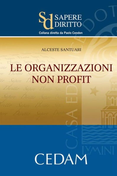 Le organizzazioni non profit