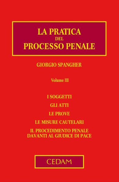 La pratica del processo penale. Volume III