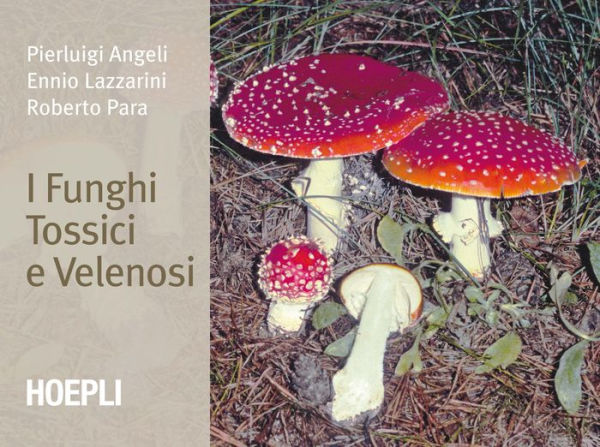 I funghi tossici e velenosi