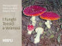 I funghi tossici e velenosi