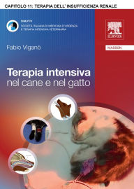 Title: Terapia dell'insufficienza renale, Author: Fabio Viganò