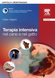 Title: Monitoraggio, Author: Fabio Viganò