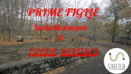 Title: Prime Figlie, Author: Escluso Mortimer