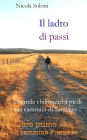 Il ladro di passi. Libro primo. Il cammino Francese: Duemila chilometri a piedi nei cammini di Santiago (con foto)