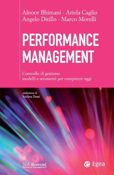 Performance Management: Controllo di gestione: modelli e strumenti per competere oggi