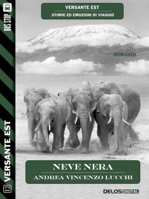 point lenana ebook