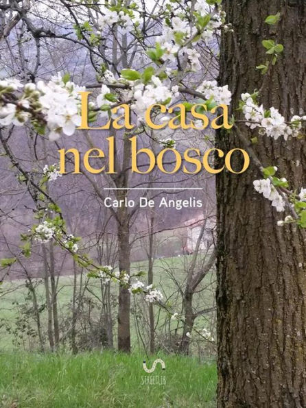 La casa nel bosco