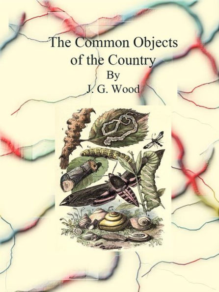 The Common Objects of the Country