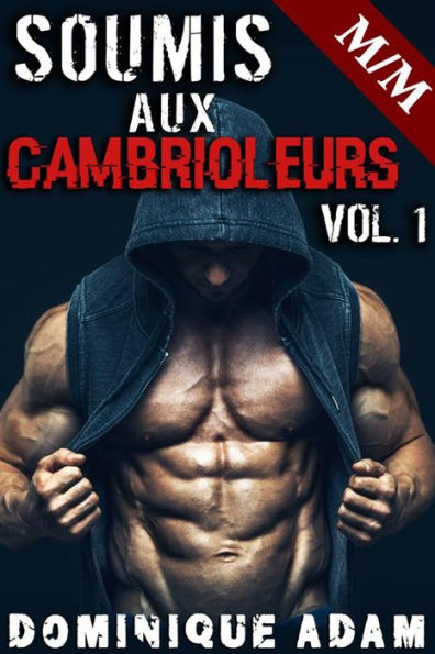 Soumis Aux Cambrioleurs Vol. 1