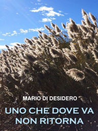 Title: Uno che dove va non ritorna, Author: Mario Di Desidero