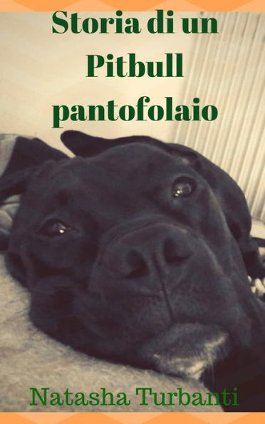 Storia di un Pitbull pantofolaio