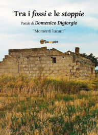 Title: Trai i fossi e le stoppie, Author: Domenico Digiorgio