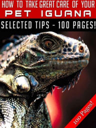 Title: How To Take Great Care Of Your Pet Iguana, Author: Jeannine Hill