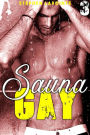 Sauna Gay - Tome 3