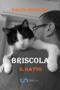 Title: Briscola il Gatto, Author: Salvo Nicolosi