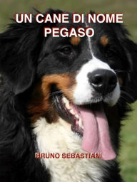 Title: Un cane di nome Pegaso, Author: Bruno Sebastiani