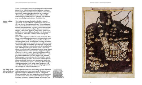 The MOSE Effect: The Challenges of a Project for the Future