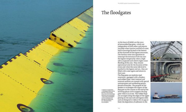 The MOSE Effect: The Challenges of a Project for the Future