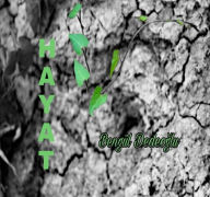 Title: H a Y a T, Author: Bengul Dedeoglu