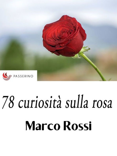 78 curiosità sulla rosa