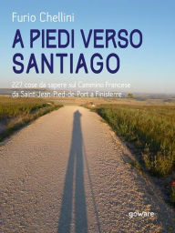 Title: A piedi verso Santiago. 227 cose da sapere sul Cammino Francese da Saint-Jean-Pied-de-Port a Finisterre, Author: Furio Chellini