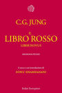 Il Libro rosso: Liber Novus