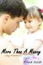 More Than A Manny (Gay Romance)