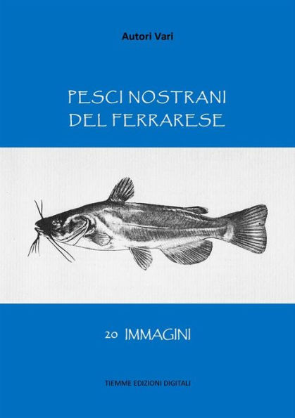 Pesci nostrani del Ferrarese: 20 immagini