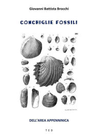 Title: Conchiglie fossili: Dell'area Appenninica, Author: Giovanni Battista Brocchi